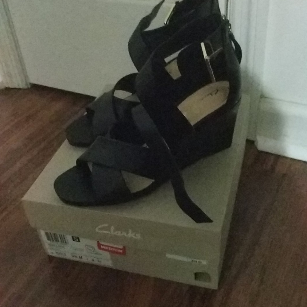 Clark wedge
